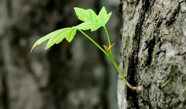 Если у тебя появляется шанс - бери его! Если этот шанс меняет всю твою жизнь, позволь этому случиться.