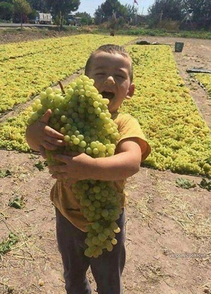 ВОТ ЭТО ГРОЗДЬ