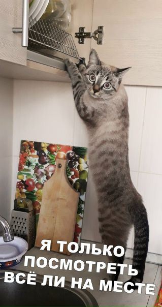 Кто-то спалился