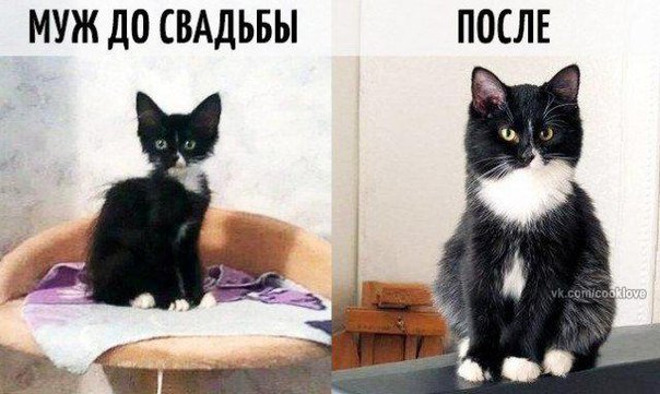 Жизненно 