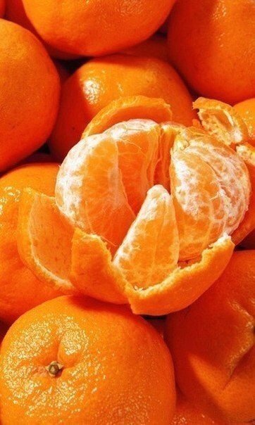 Ну как их можно не любить! 