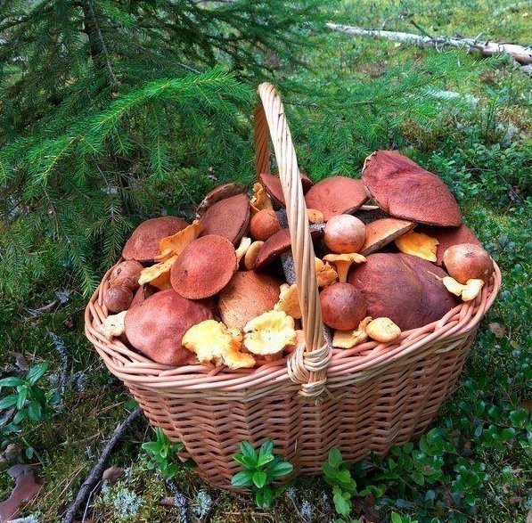 Вот это красота 