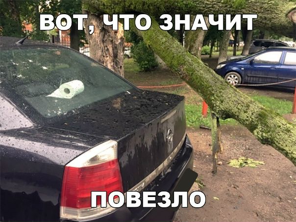 Тачка аж вспотела