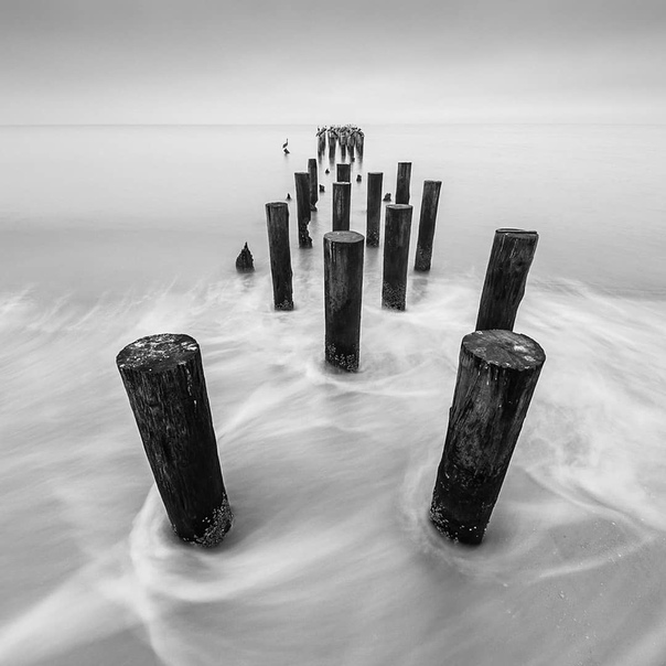 #Фотограф Moises Levy