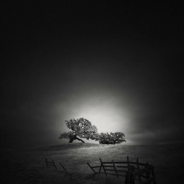 #Фотограф Nathan Wirth