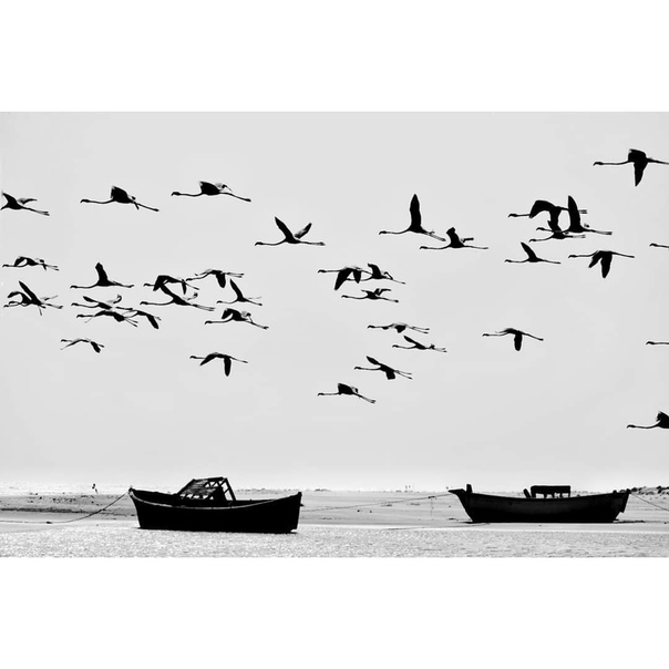 #Фотограф Soumesh Pandey
