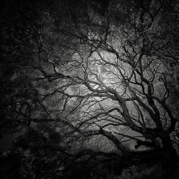 #Фотограф Nathan Wirth