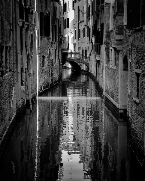 #Фотограф Lou Tissiez
