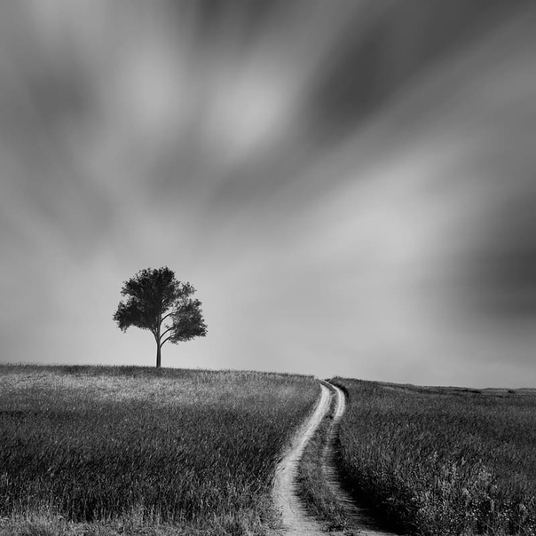 #Фотограф Peyman Ebrahimpour