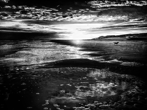 #Фотограф Roelie van Moorst