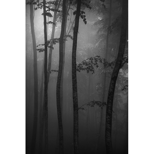 #Фотограф Ilias Varelas