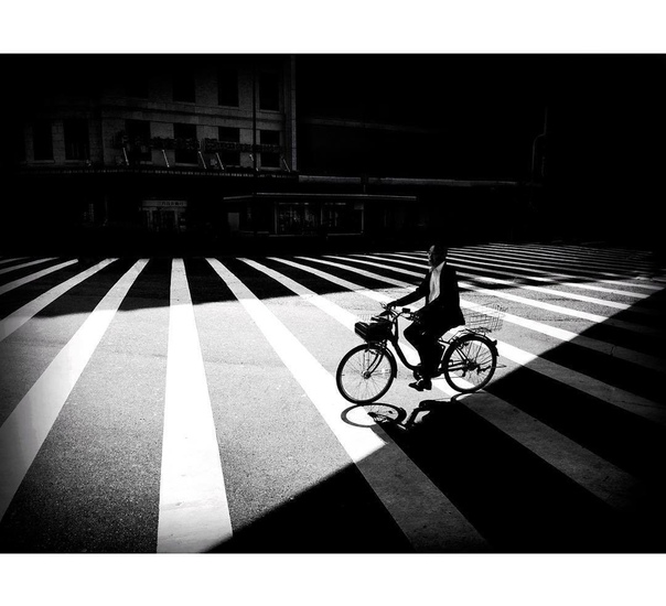 #Фотограф Mark Fearnley
