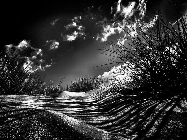 #Фотограф Roelie van Moorst