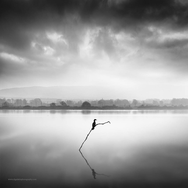 #Фотограф George Digalakis