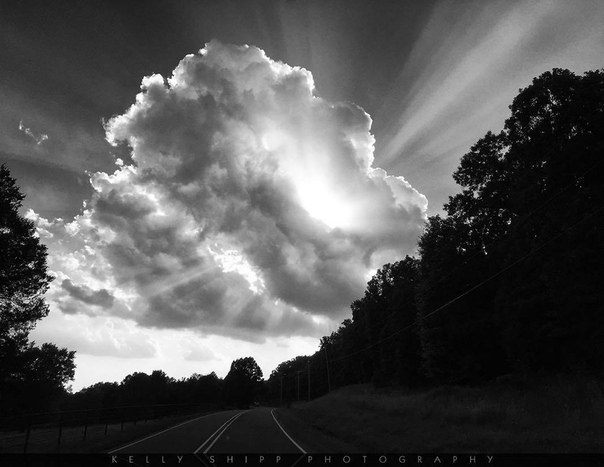 #Фотограф Kelly Shipp