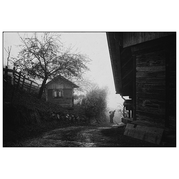 #Фотограф Ando Fuchs
