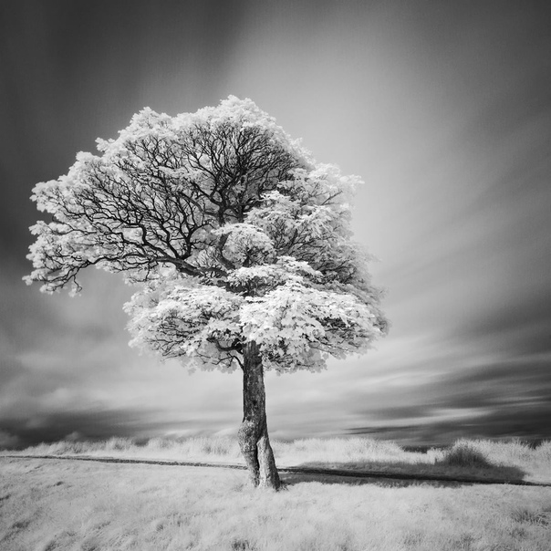 #Фотограф Tony Hunter