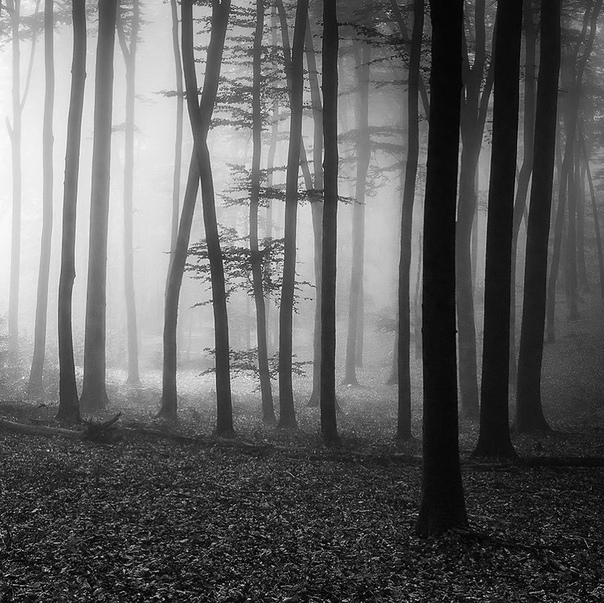 #Фотограф Michael D.
