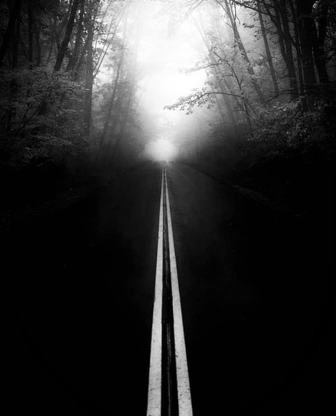 #Фотограф Doug Dorsett