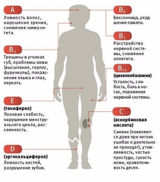 Как понять, в каких витаминах нуждается организм СОХРАНИ