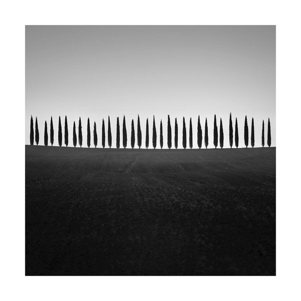 #Фотограф Dermot Russell